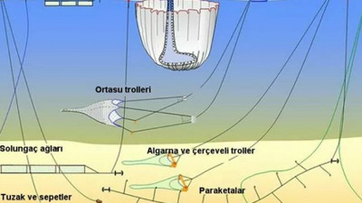 Hem koparıyor, hem dağıtıyor, alarm veriyor… Marmara Denizi ve çevresi büyük tehlikede: Acil ihtiyacımız var diyerek uyardı