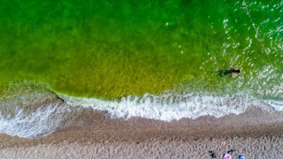 Masmavi deniz yeşyeşil oldu! Konyaaltı'nda korkutan görüntü