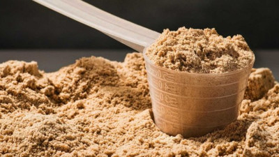 Korkutan araştırmanın sonuçları paylaşıldı: İnsanlar bu canlı ile beslenmek zorunda kalacak