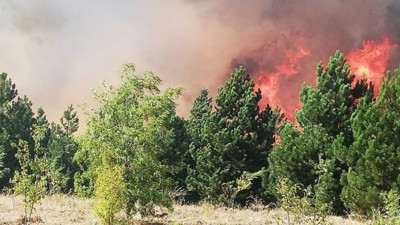 Çorum'da orman yangınına müdahale eden 3 kişi yaralandı