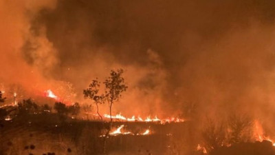 İzmir'deki yangın kontrol altında! Zeytin ağaçları yandı
