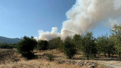 Ankara Çubuk'taki orman yangını söndürüldü