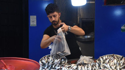 O balıklarda büyük tehlike, sakın yemeyin: Yıllardır görmezden geliniyor