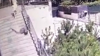 Rezidanstan düşen camla gelen ölüm! Cinayet gibi kaza kamerada