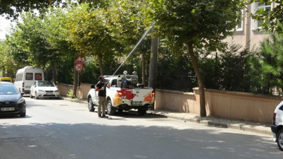 3 ilçeyi böcekler istila etti, vatandaşlar endişeli