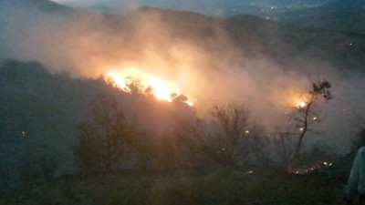İzmir'de yine orman yangını! Rüzgarın etkisiyle büyüdü
