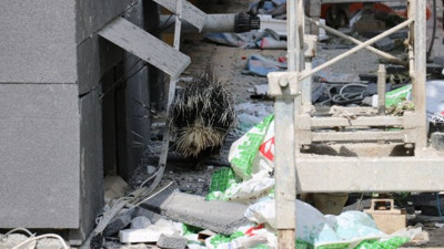 Oklu kirpi şehri ayağa kaldırdı