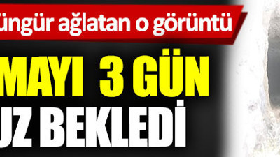 Kurtarılmayı 3 gün boyunca aç susuz bekledi, Köylüleri hüngür hüngür ağlatan görüntü