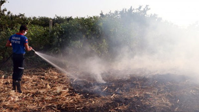 Çiftçilerin yaktığı anız havayı zehirliyor