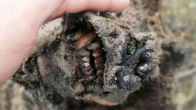 15 bin yıllık ayı mumyası bulundu