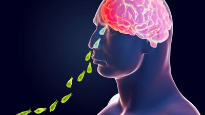 Burundan girip insan beynini yiyor: Aylar sonra yeniden hortladı: Türkiye'de de görülmüştü: Son kurbanı 13 yaşında