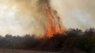 Kuş Cenneti'nde korkutan yangın