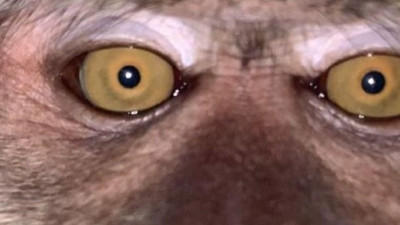 Telefonundaki fotoğrafı görünce neye uğradığını şaşırdı