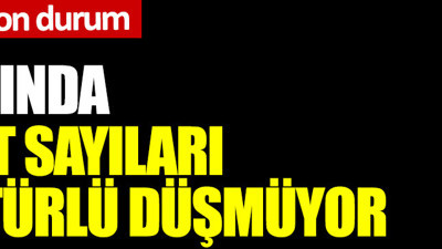Virüste artış devam ediyor: Vefat sayıları düşmüyor