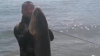 Dev balığı özel zıpkınla vurdu! Fethiyeliler gözlerine inanamadı