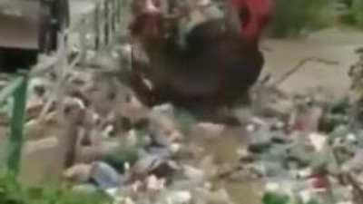 İnsanoğlunun bulunduğu her yerde böyle tuhaflıklar var