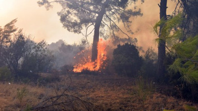 Antalya Adrasan'da orman yangını! Çevre illerden destek geliyor