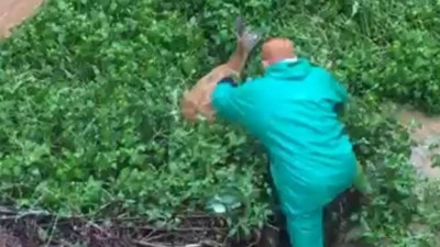 Artvin'de yürükler ağza geldi! Su kanalında yaşam savaşı