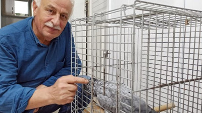 Fatiha okuyan Papağan görenleri hayrete düşürüyor