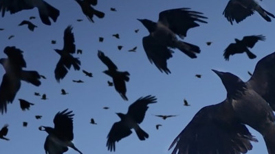 Gökyüzünde kıyamet koptu! Kabusu yaşadılar