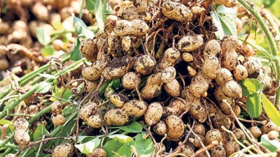 Türkiye, 50 yıl sonra Amerika'ya rakip oluyor