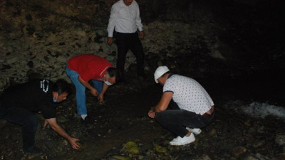 İyi insanların balıkları yaşatmak için çırpınışı! Türkiye'de güzel şeyler de oluyor