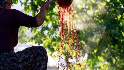 Bu besin insanı canlı kanlı yapıyor