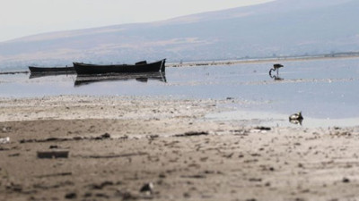 Göller bir bir kuruyor. Nilüferleriyle ünlü gölde tehlike çanları çalıyor