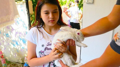 Kayıp tavşan operasyonu gülümsetti