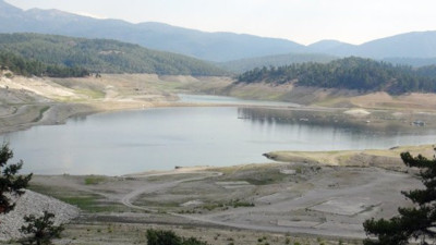 Yanyana yüzlercesi çırpına çırpına öldü! Görenlerin yürekleri parçalandı