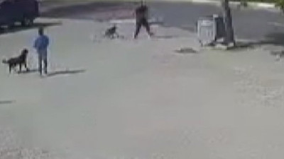 İstanbul'da sokak ortasında dehşet: Önce dövüştürdü sonra acımasızca vurdu