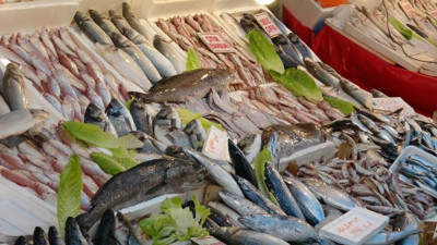 Garibanın yüzünü güldürecek haber