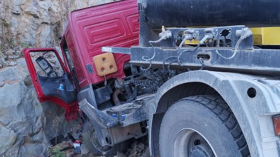 Arı soktu, ağaca vurdu, canından oldu