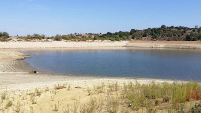 Gölette korkutan görüntüler. Sular çekilince ortaya çıktı