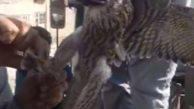 Ayaklarına ölü kuş kafasına maske bağladılar, bunu yapan insan olamaz