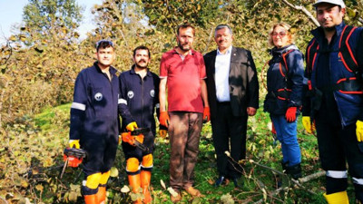 Fındık timleri işbaşı yaptı
