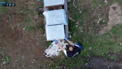 Kraliçe arı var açmayın dedi, içinden çıkanlar şoke etti