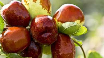 Bu meyveyi yiyenin karnı acıkmıyor. Stres, kabızlık, uykusuzluğa da birebir