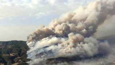 Söke’deki yangın ormana sıçradı
