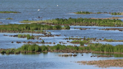 Dünya'da 3 taneden biriydi! Onun için tehlike çanları daha hızlı çalmaya başladı