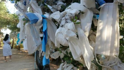 Ağaçlar tıbbi maske doldu. Bu kadarı da yüzsüzlük