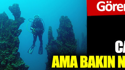 Van Gölü’nde canavara değil ama bakın neye rastlandı