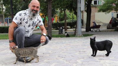 Hayvan sevgisi davalık oldu. Sokak kedilerinin kaderini mahkeme sonucu belirleyecek