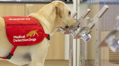 Koronayı yüzde 100 tespit edecekler.... Çubuk sorunu ortadan kalkıyor! Koronada devrim yolda