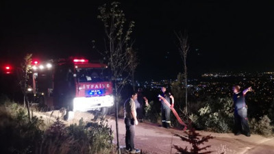 Kocaeli'de hatıra ormanındaki çam ağaçları yandı!