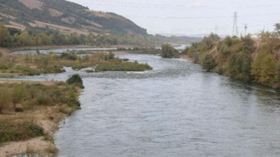 İsrail Sazanı diğer balıkların soyunu tüketiyor. Kızılırmak ve Yeşilırmak tehdit altında. Prof. Dr. Nazmi Polat’tan şok açıklama.