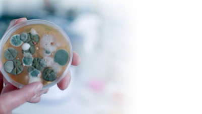 Evlerinin yüzde 93'ünde var. İşte sebep olduğu hastalıklar. Ev Tozu Araştırması yapıldı