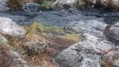 Dilovası'ndaki dere yağmur sonrası siyah aktı