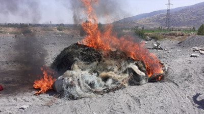 Kaçak balık avlandığı tespit edilen ağ, imha edildi