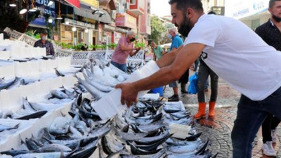 Vatandaşın yüzünü palamut güldürdü. Adedi 700 gram geliyor